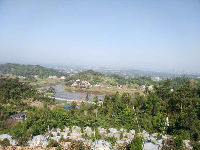 1-1P916211411.jpg